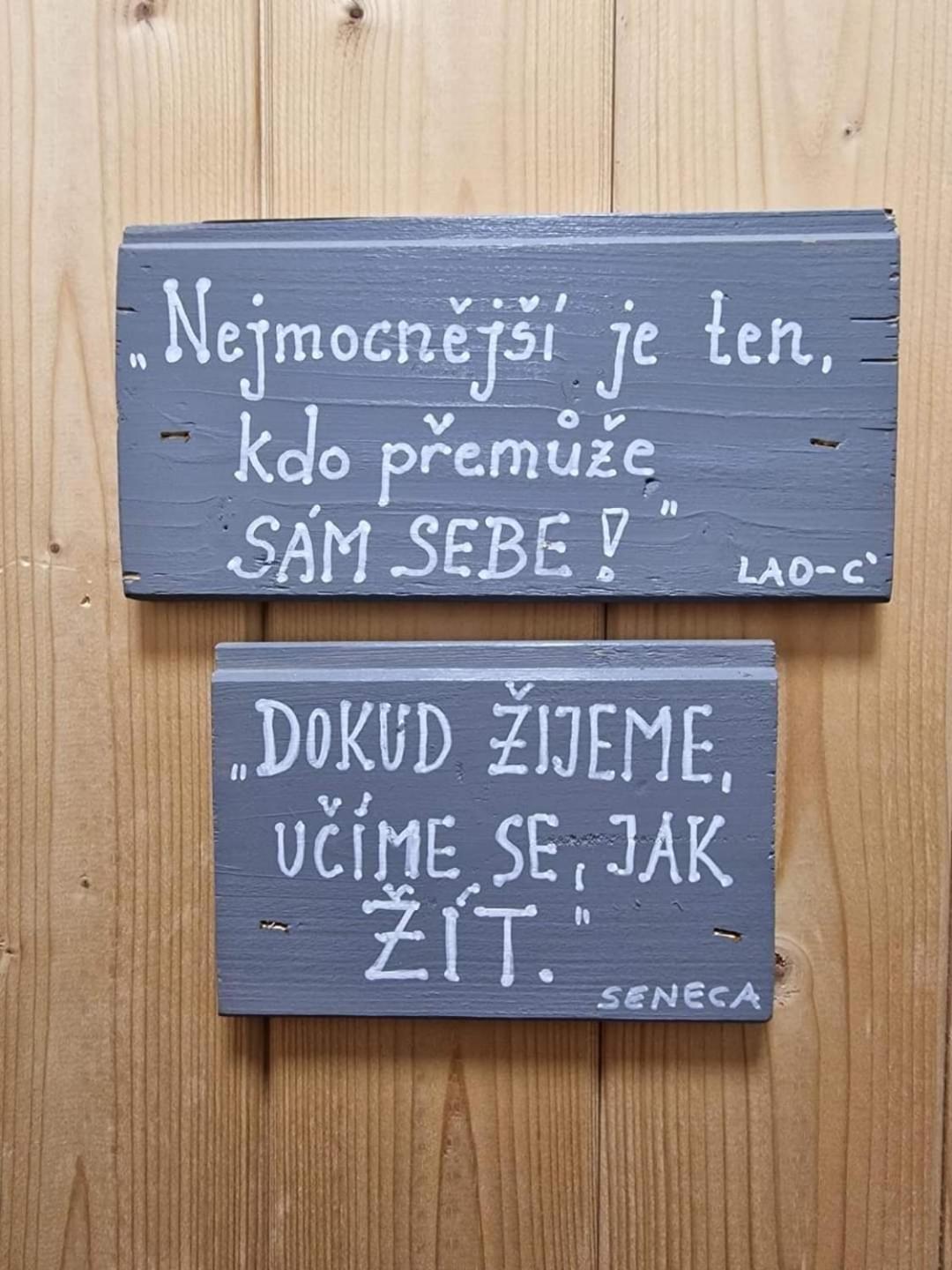 Penzion Slunecnice Kurimska Nova Ves Екстериор снимка